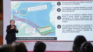 Sheinbaum destina mil millones de pesos para contener el sargazo